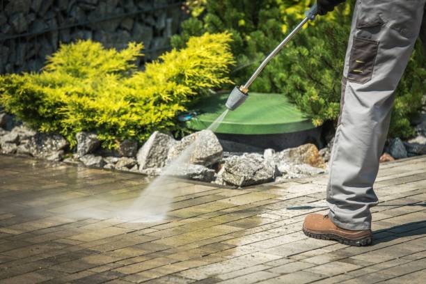 Animal Enclosure Cleaning in Twin Rivers, NJ